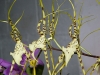 VOF2009_005