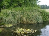 VOF2009_010