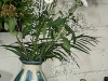 VOF2009_031