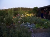 VOF2009_080