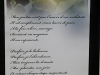 VOF2009_094