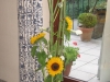 VOF2009_099