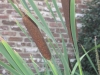 VOF2009_106