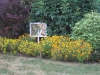 VOF2009_114