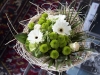 VOF2011_Selects_008