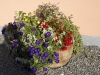 VOF2011_Selects_014
