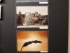 VOF2011_Selects_035