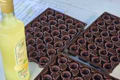 4_Digestif_MG2025_03