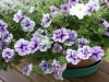 vof2007_022