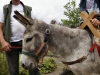 vof2007_027
