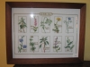 vof2007_036