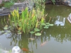 vof2007_059