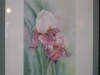 vof2007_062