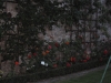 vof2007_064