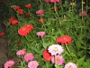 vof2007_066